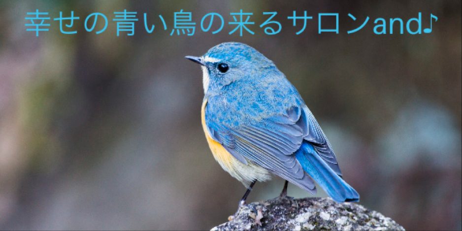 幸せの青い鳥の来るサロンand♪